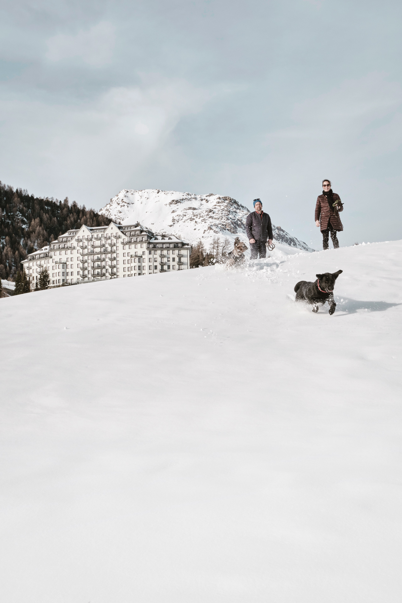 Swiss Deluxe Hotels Stories Winter 2022 Oskar Goes To St Moritz 05 Oscar Goes To Stmoritz Carlton 116 Bearb Ecirgb