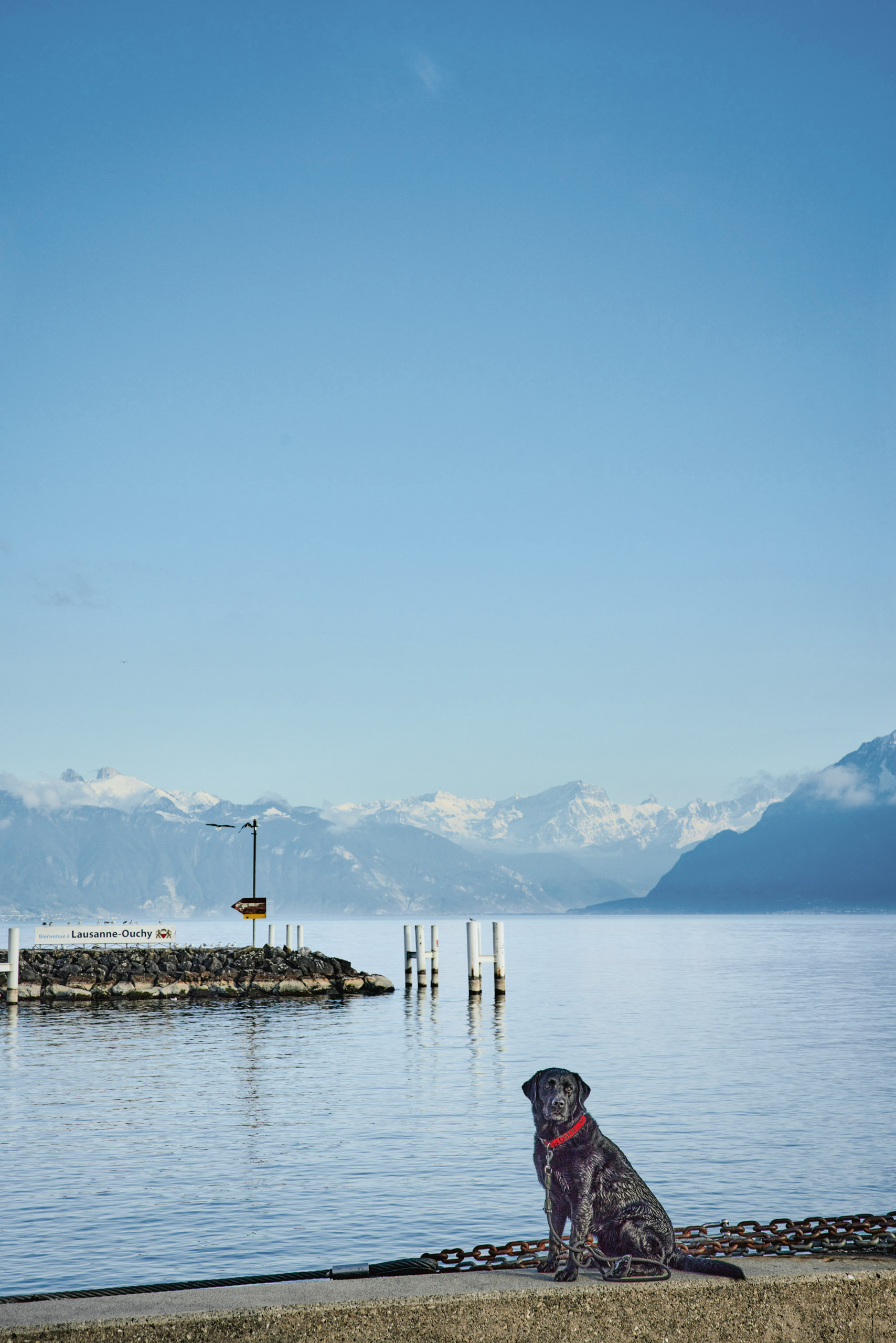 Swiss Deluxe Hotels Magazine Winter 2024 25 Oskar Gooes To Lausanne HR Lausanne Allgemein 074