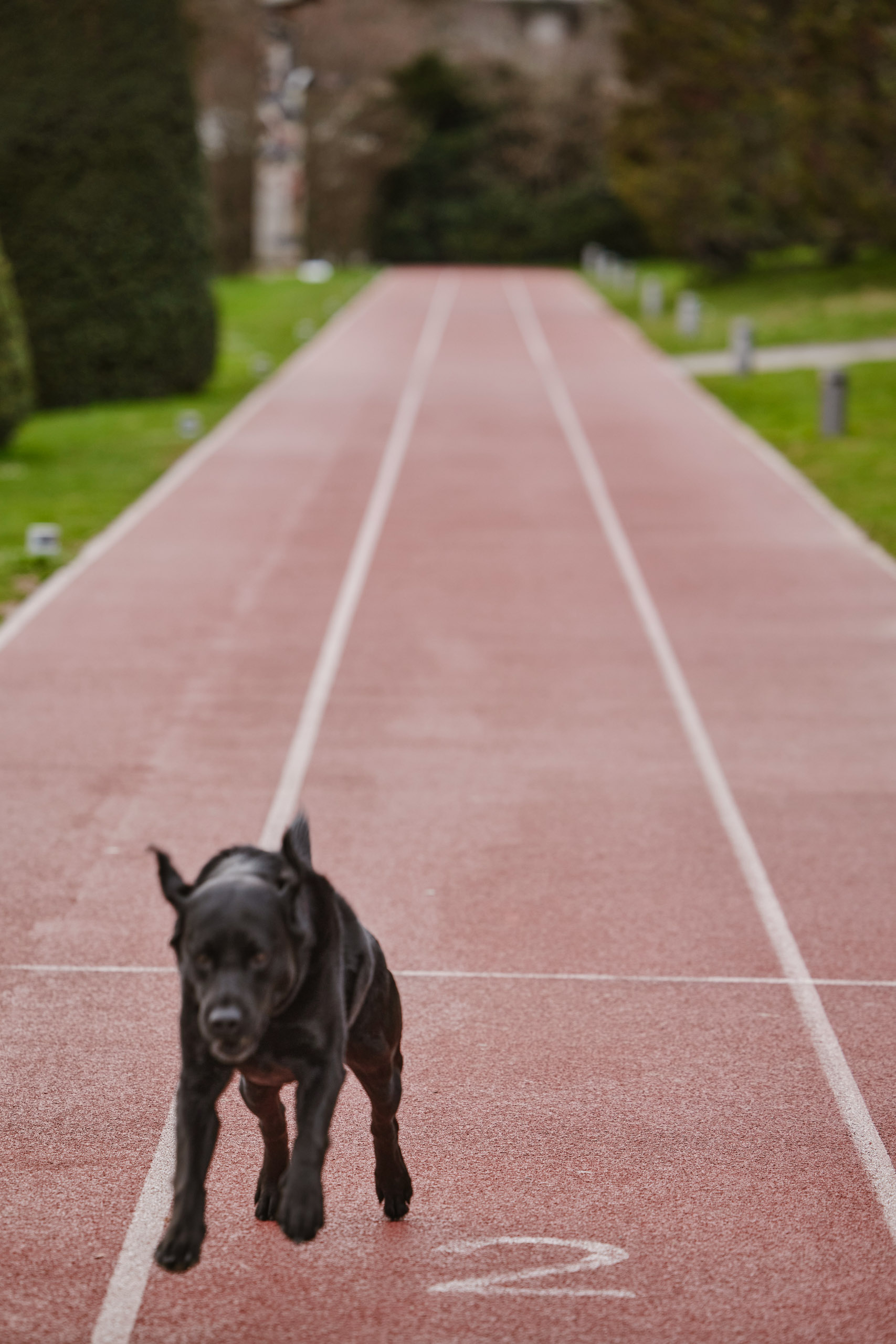 Swiss Deluxe Hotels Summer Magazine 2024 And Oskar Goes To Lausanne Lausanne Olympiapark 019 RGB